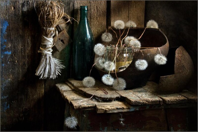 dandelion seeds on rustic table