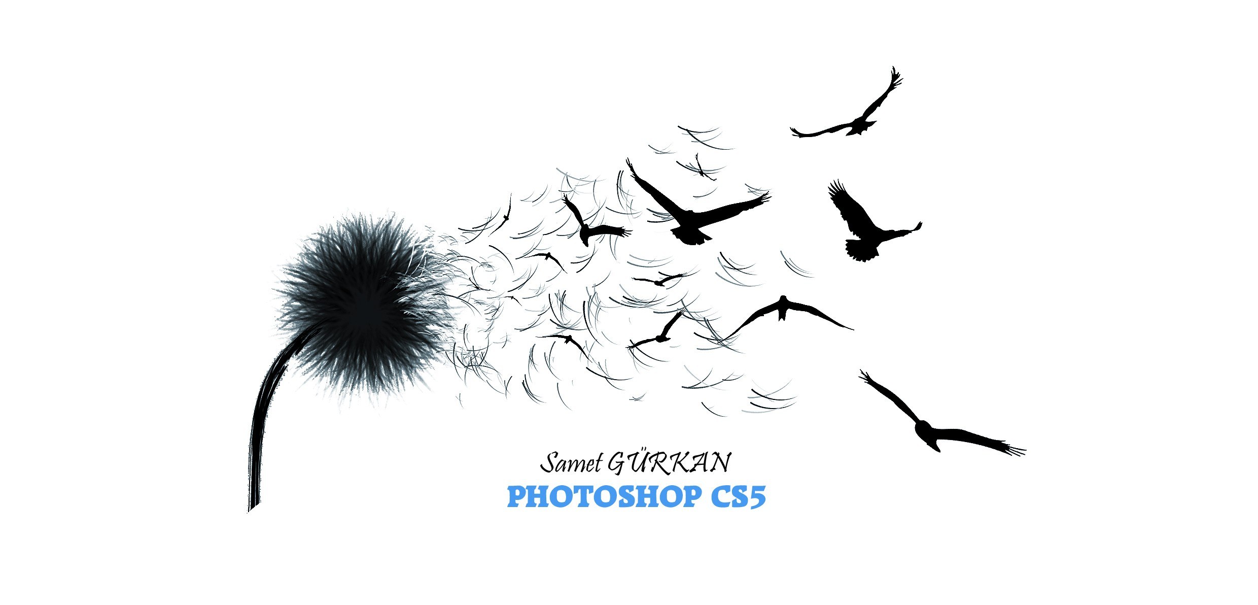 dandelion seeds turning into birds