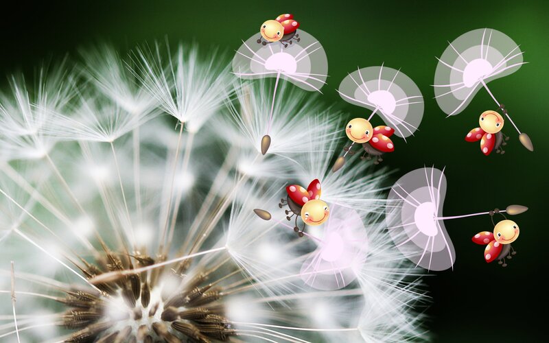 Dandelion Seeds with Bugs