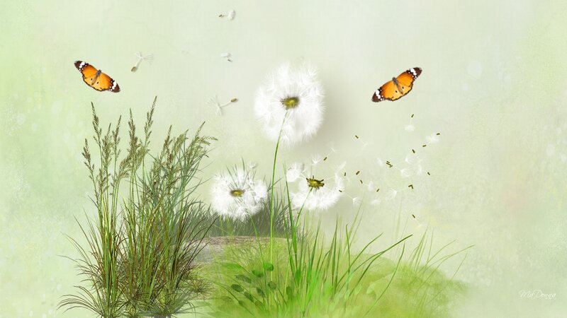 Dandelion Seeds with Butterflies