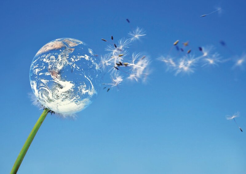 Dandelion with Earth Globe