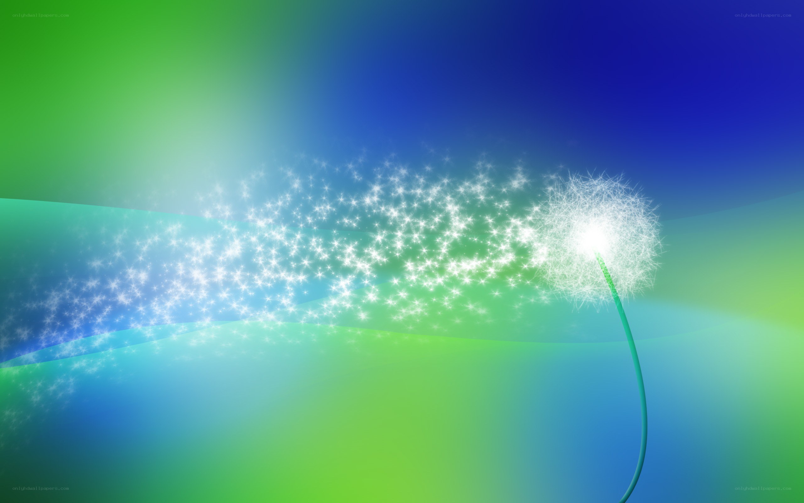 Dandelion with sparkling seeds