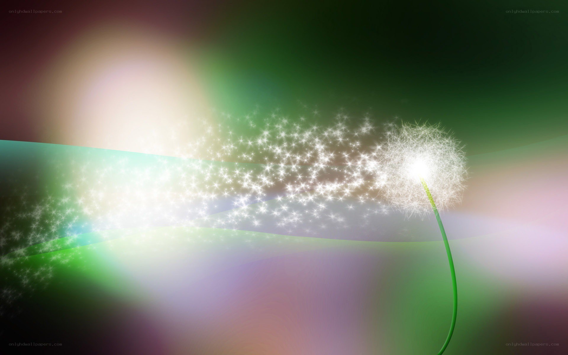 dandelion with sparkling seeds