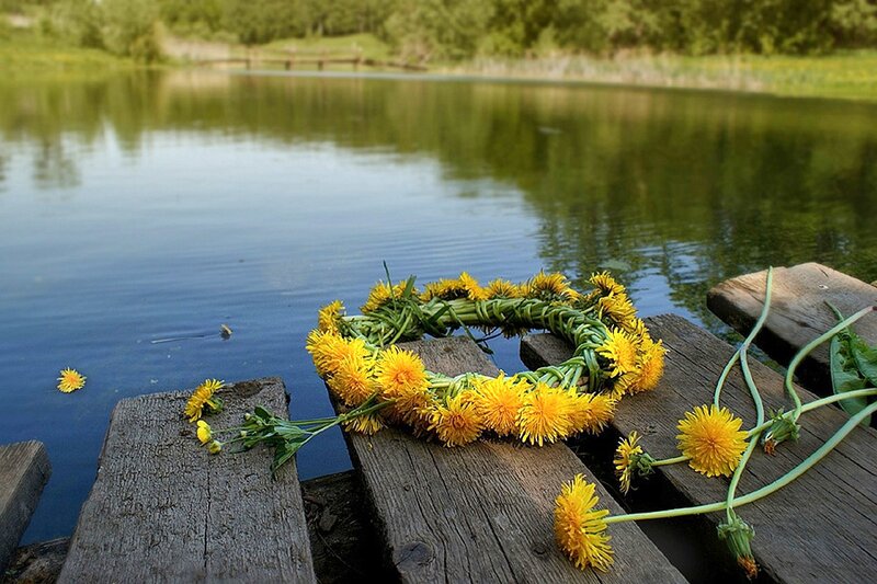 Dandelion Wreath on Dock