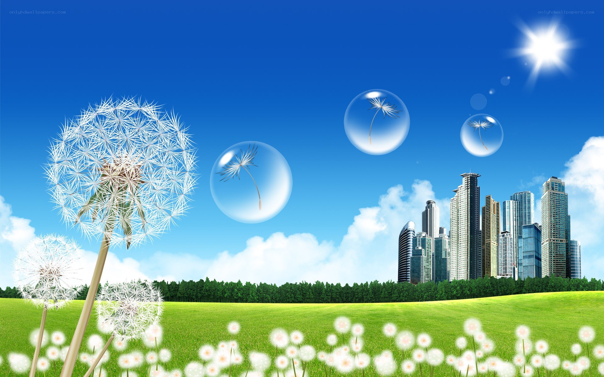 Dandelions and city skyline
