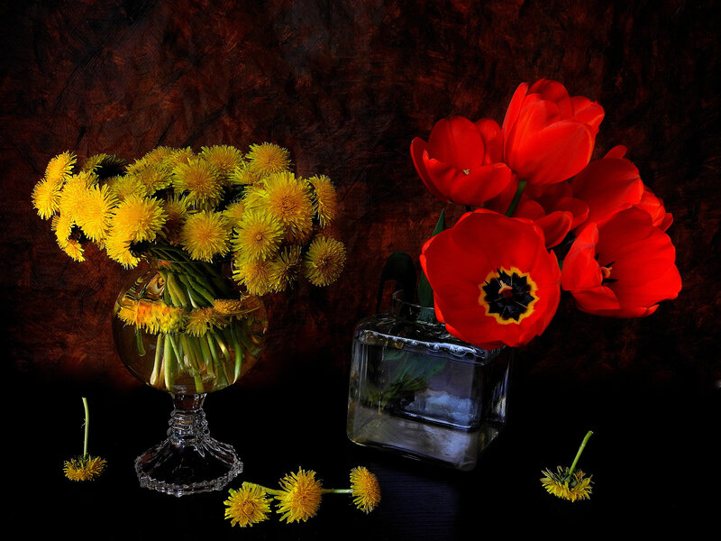 Dandelions and Tulips