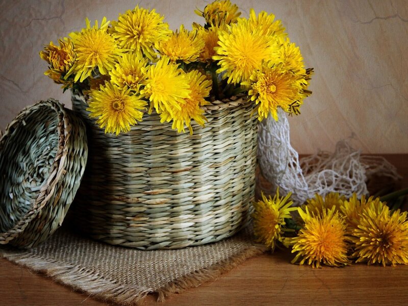 Dandelions in a Basket