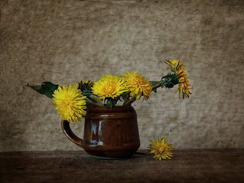 Dandelions in a brown mug