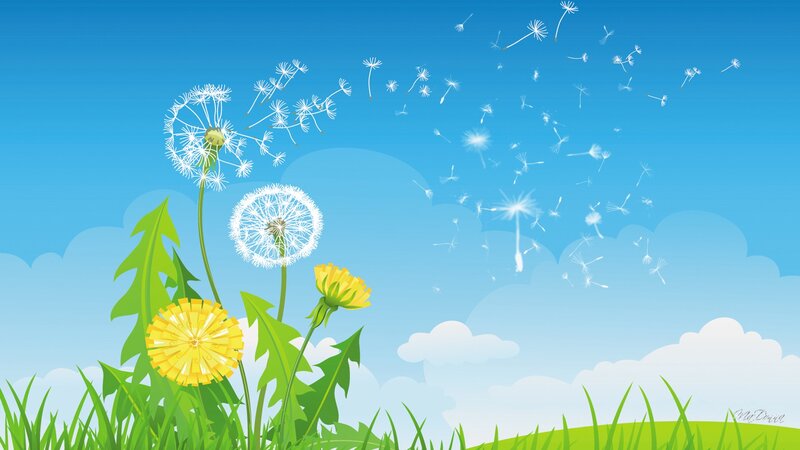 Dandelions in a Field — Green, Serene