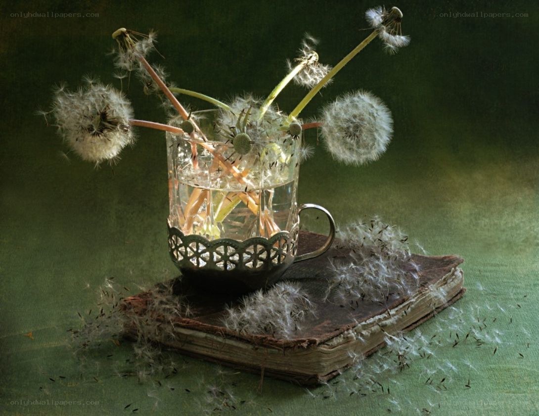 Dandelions in a glass cup