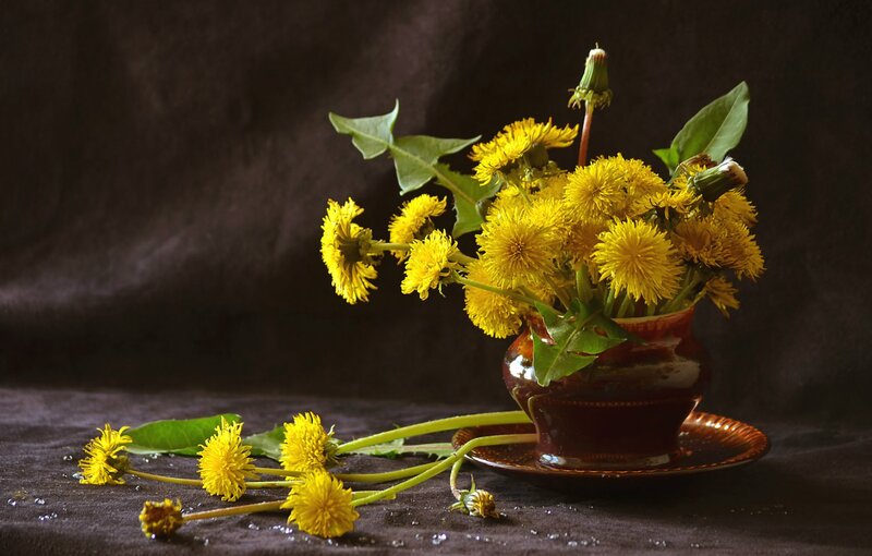 Dandelions in a Vase — Yellow, Calm, Photograph
