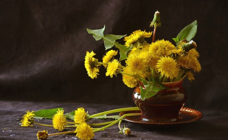 Dandelions in a Vase — Yellow, Calm
