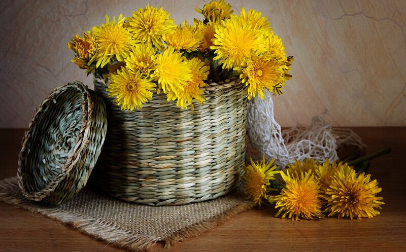 Dandelions in Basket — Yellow, Calm
