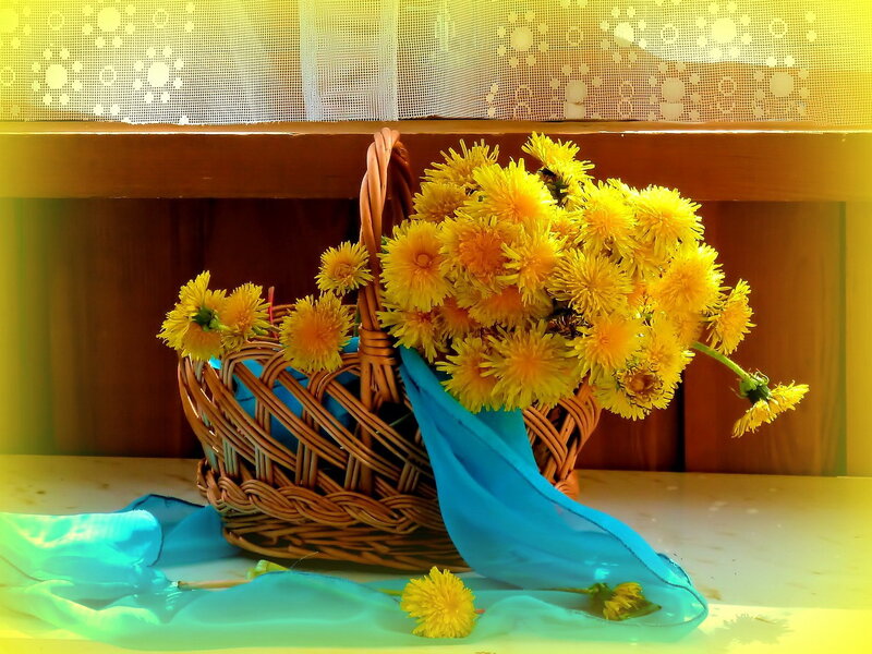 Dandelions in Basket — Yellow