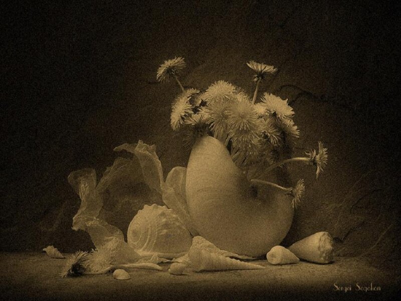 Dandelions in Vase — Brown