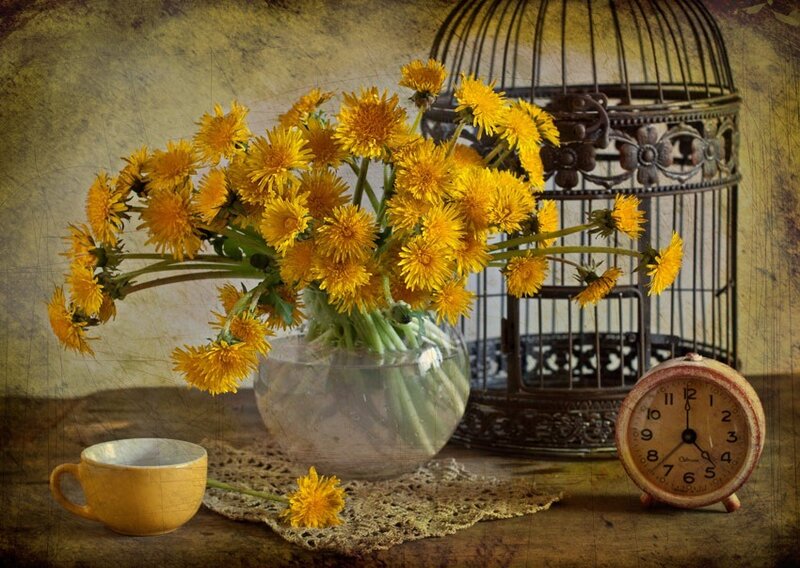 Dandelions in Vase