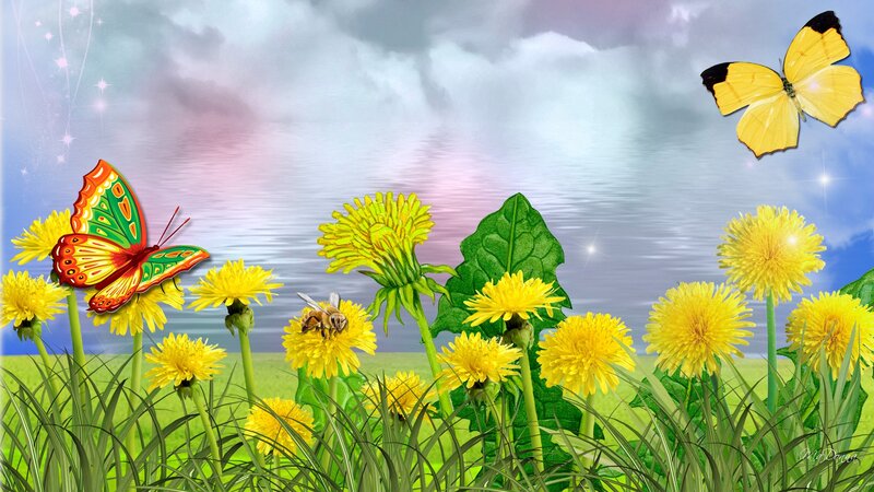 Dandelions with Butterflies
