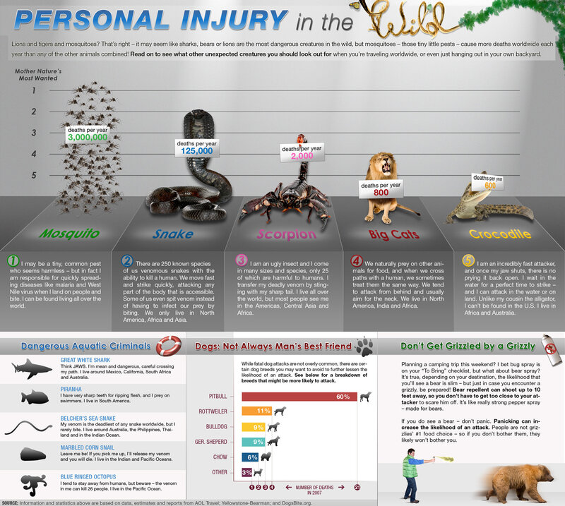 Dangerous Animals Infographic