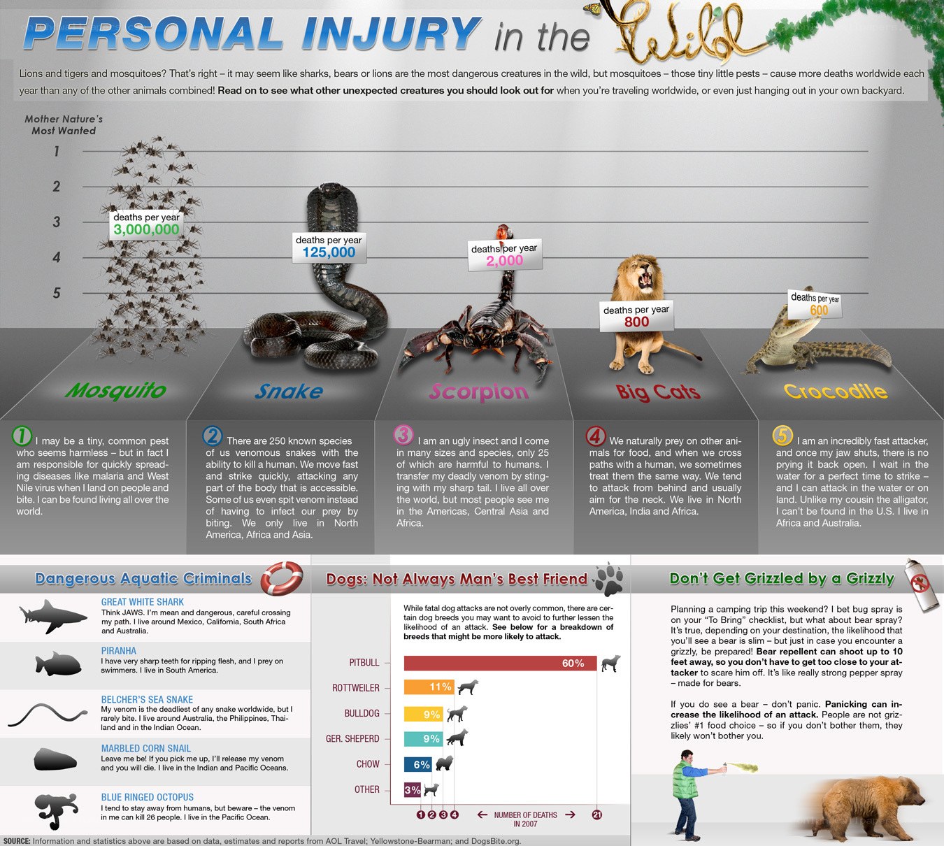 Dangerous Animals Infographic