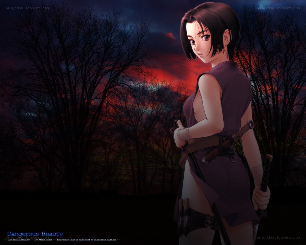 Dangerous Beauty artwork