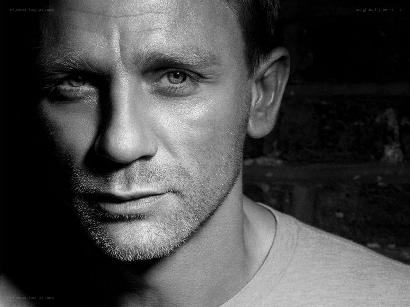 Daniel Craig portrait