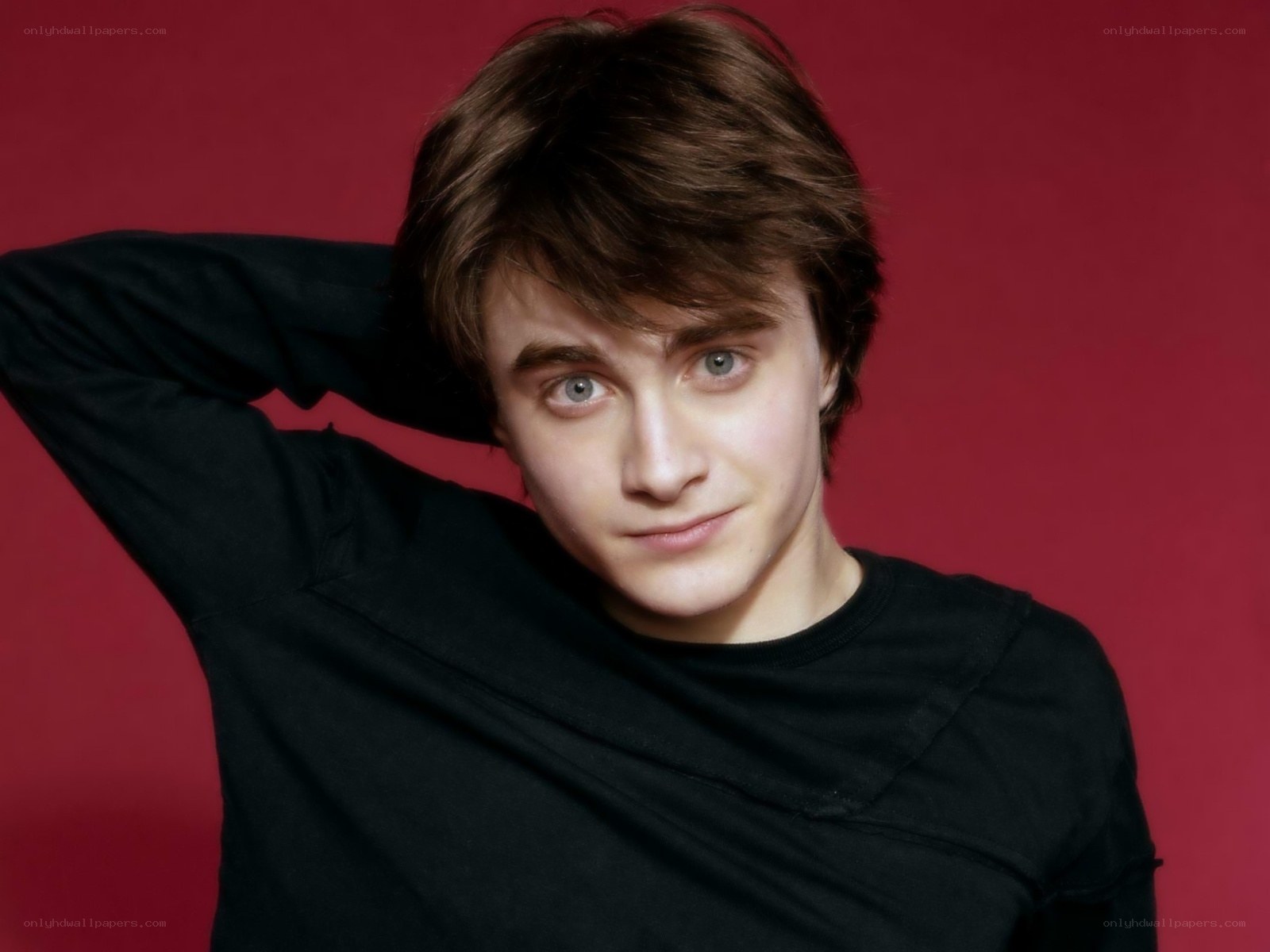 Daniel Radcliffe as Harry Potter