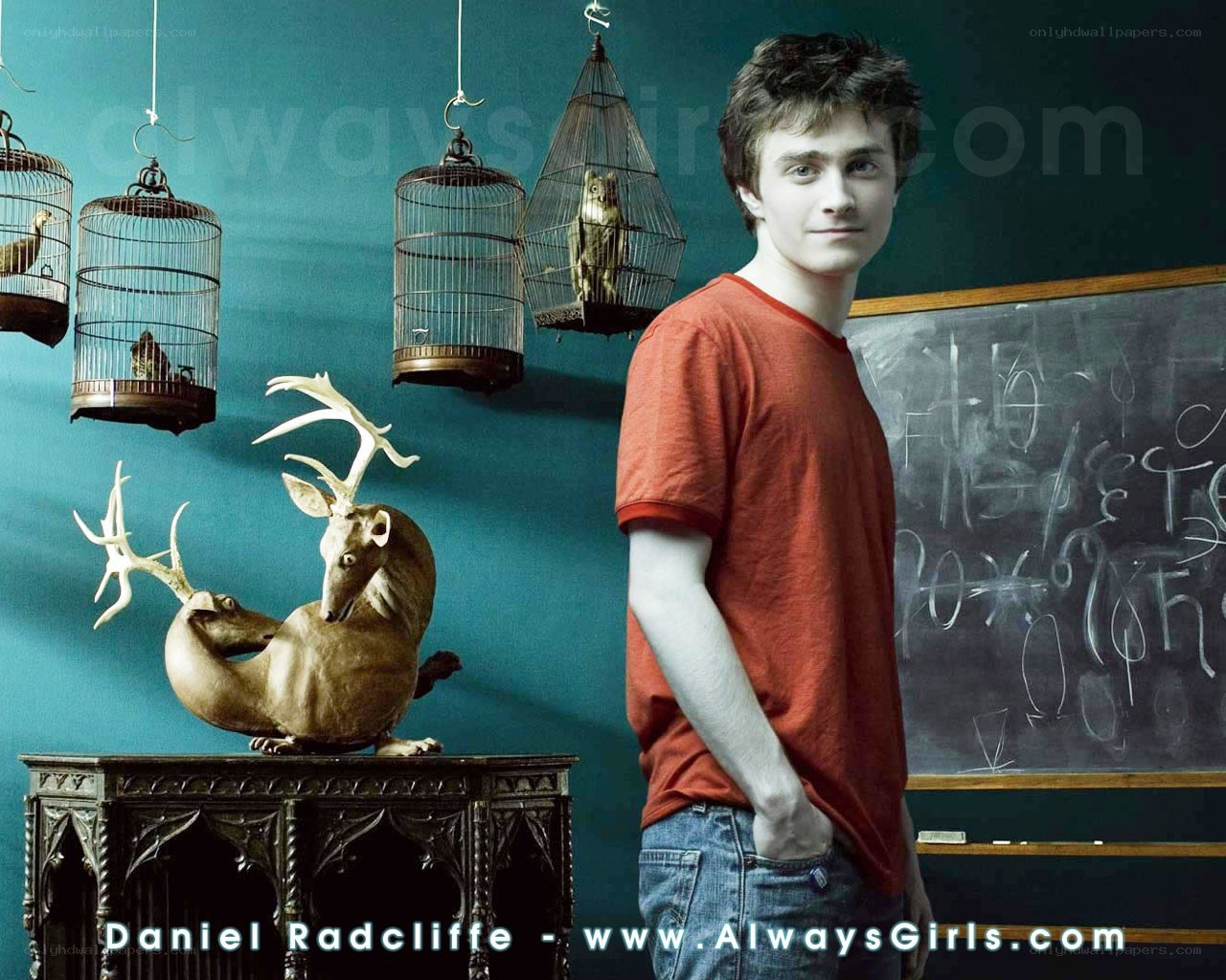 Daniel Radcliffe in red shirt