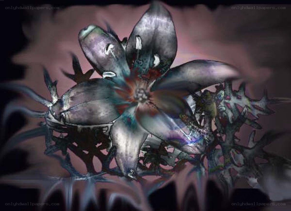 dark abstract flower illustration