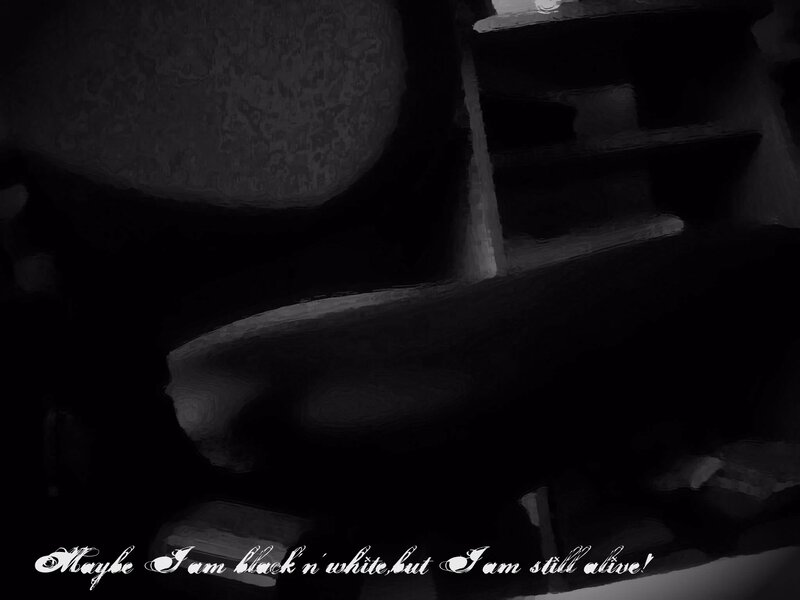 Dark Abstract Shapes