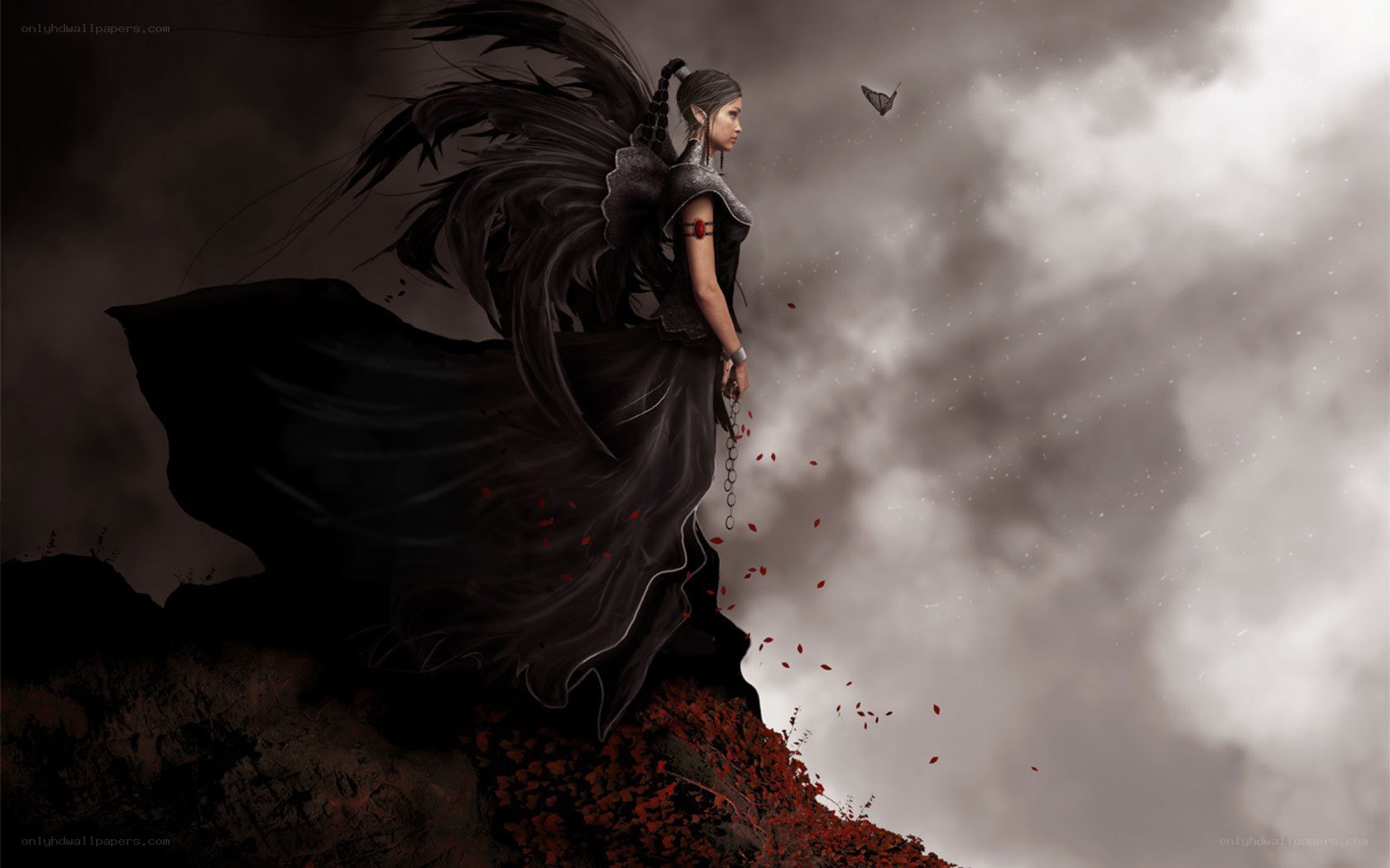 dark angel on a cliff