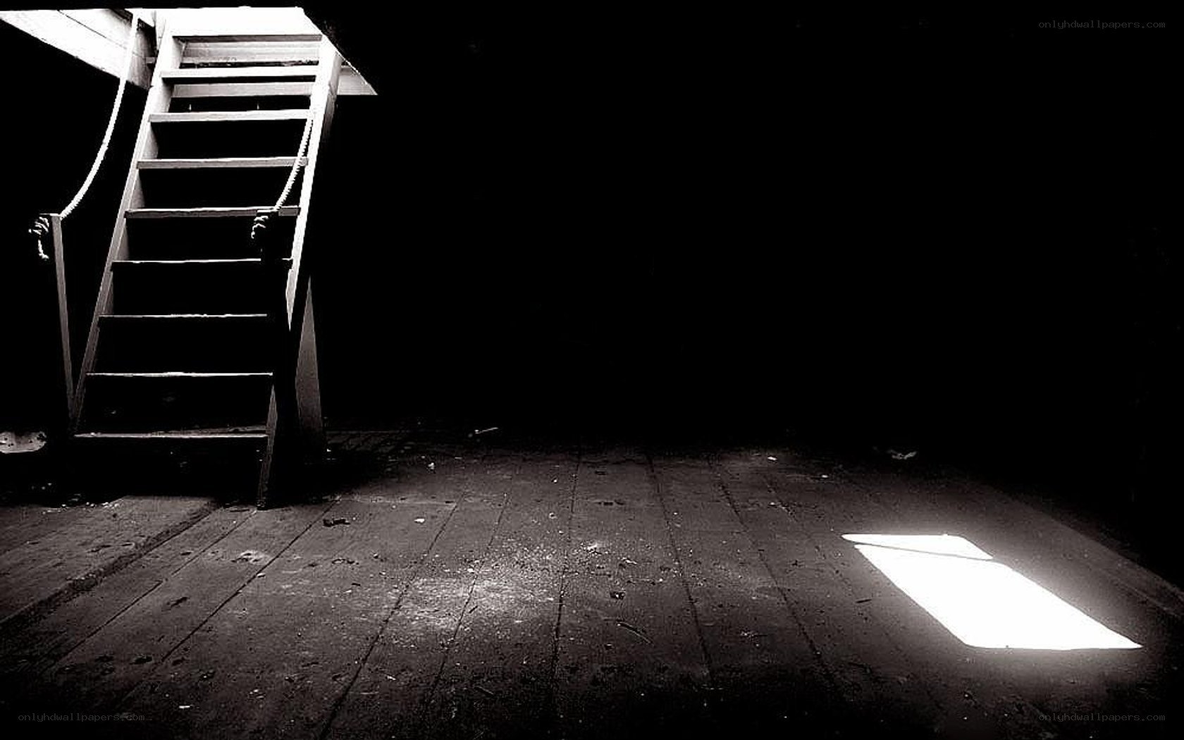Dark attic with ladder and light