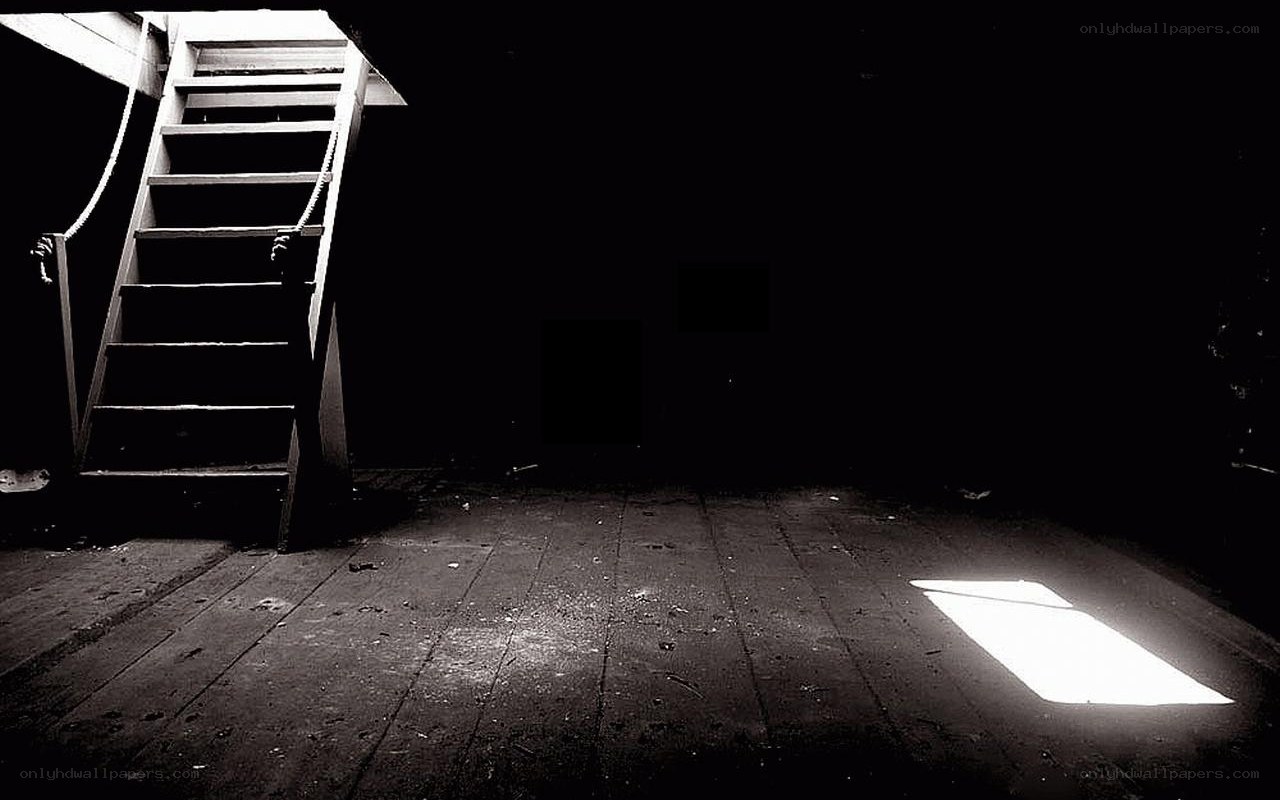 Dark attic with ladder and light