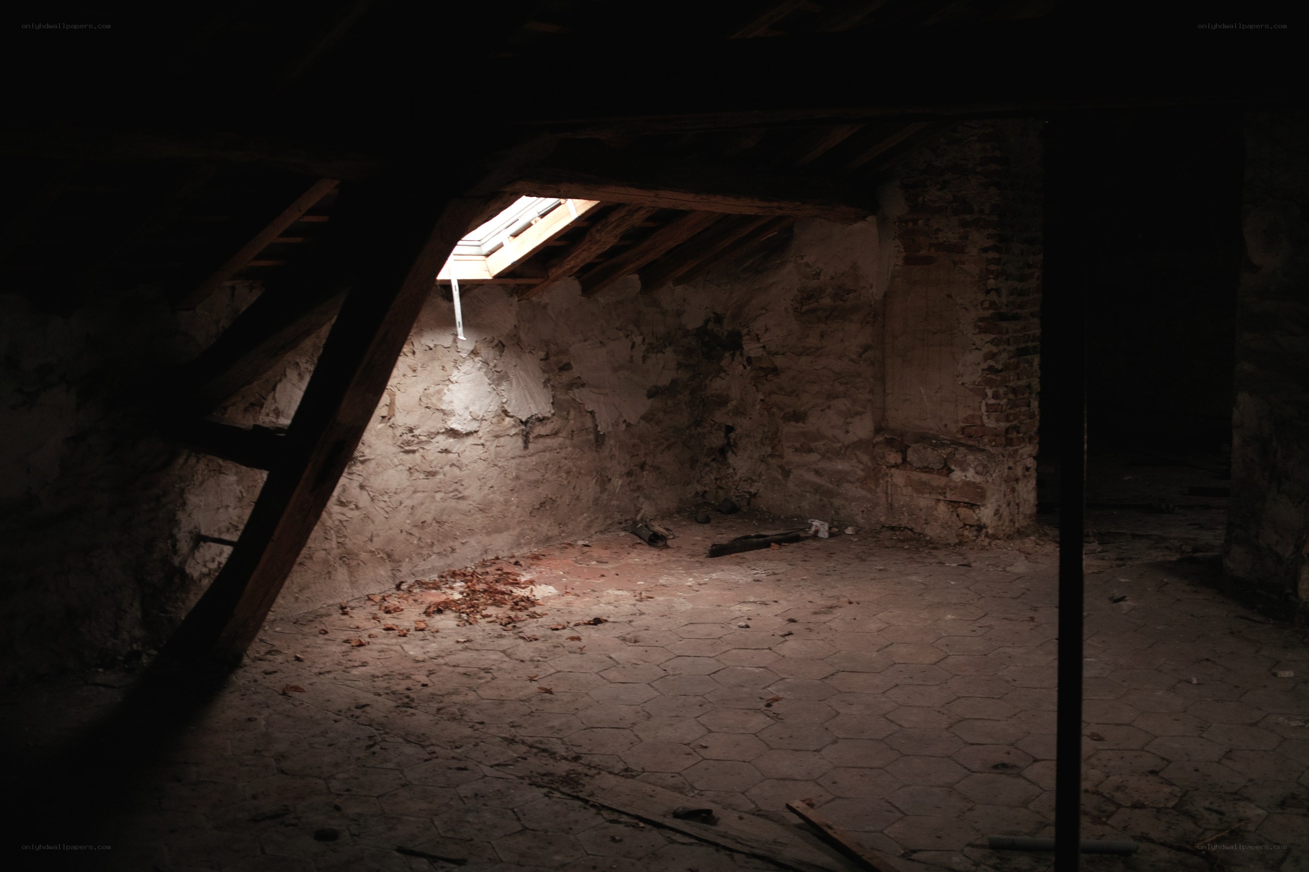 Dark attic with skylight