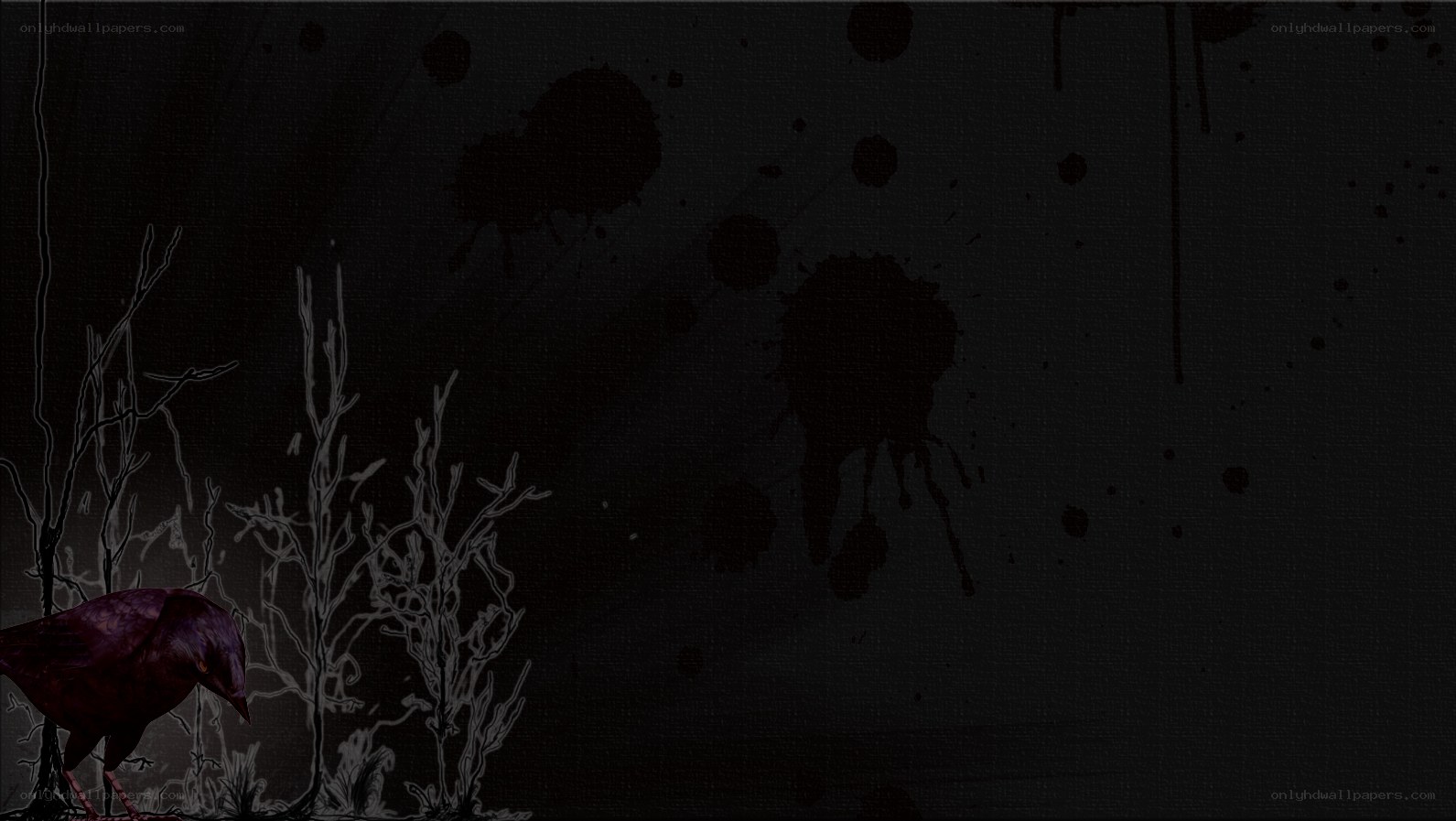 dark bird in a spooky forest