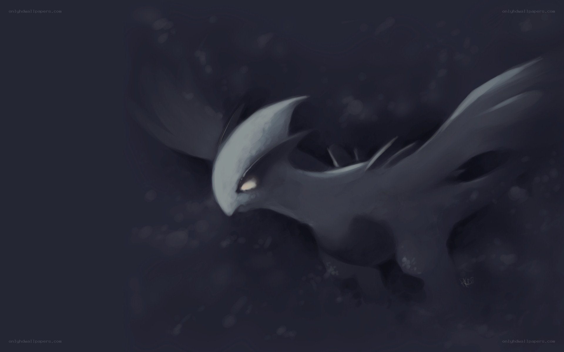 dark bird in flight
