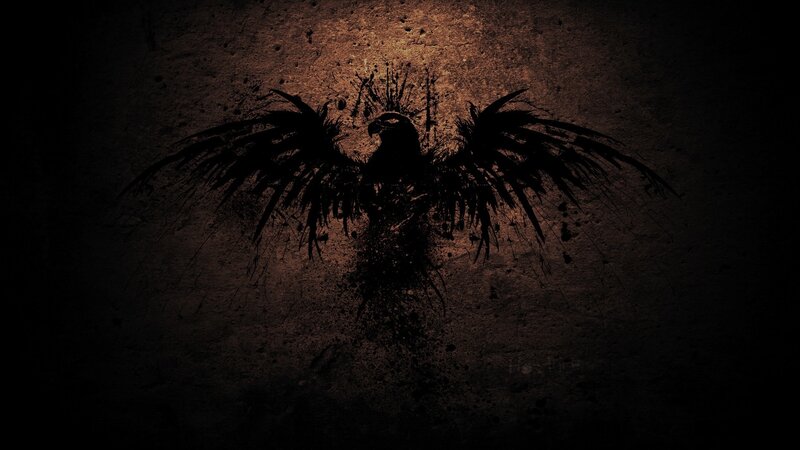 dark bird silhouette on textured wall