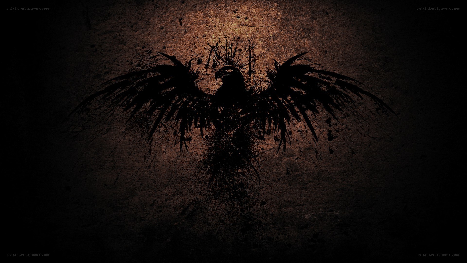 dark bird silhouette on textured wall