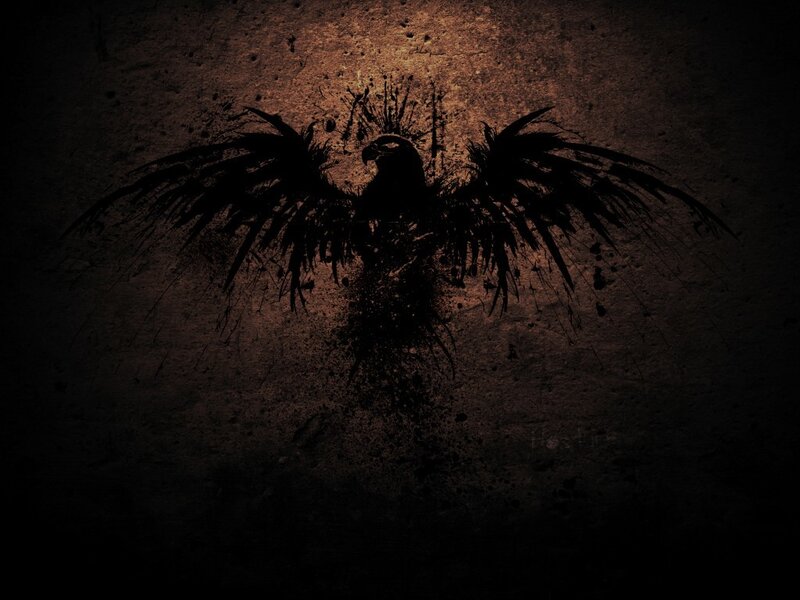 dark bird silhouette on textured wall