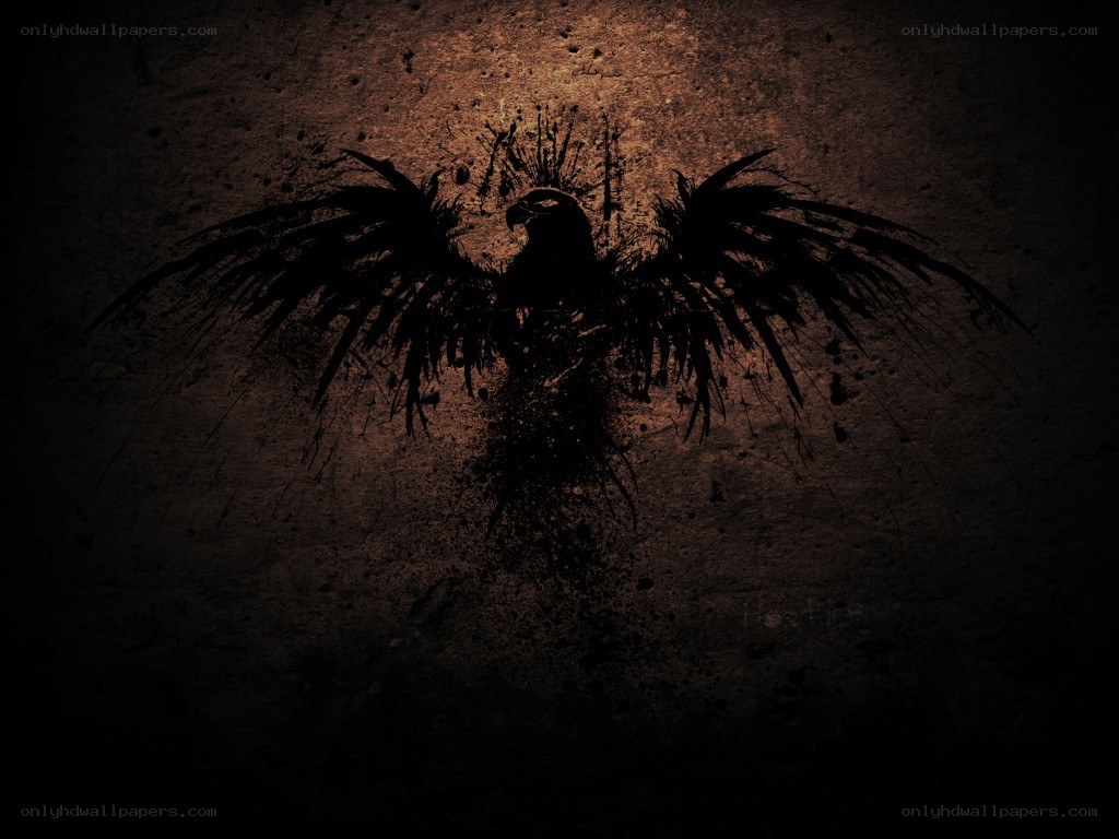 dark bird silhouette on textured wall