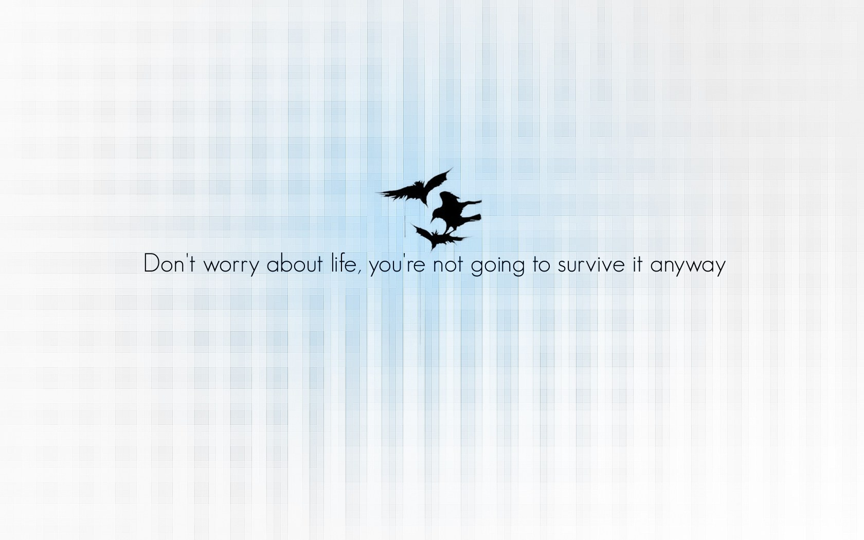 Dark birds and quote