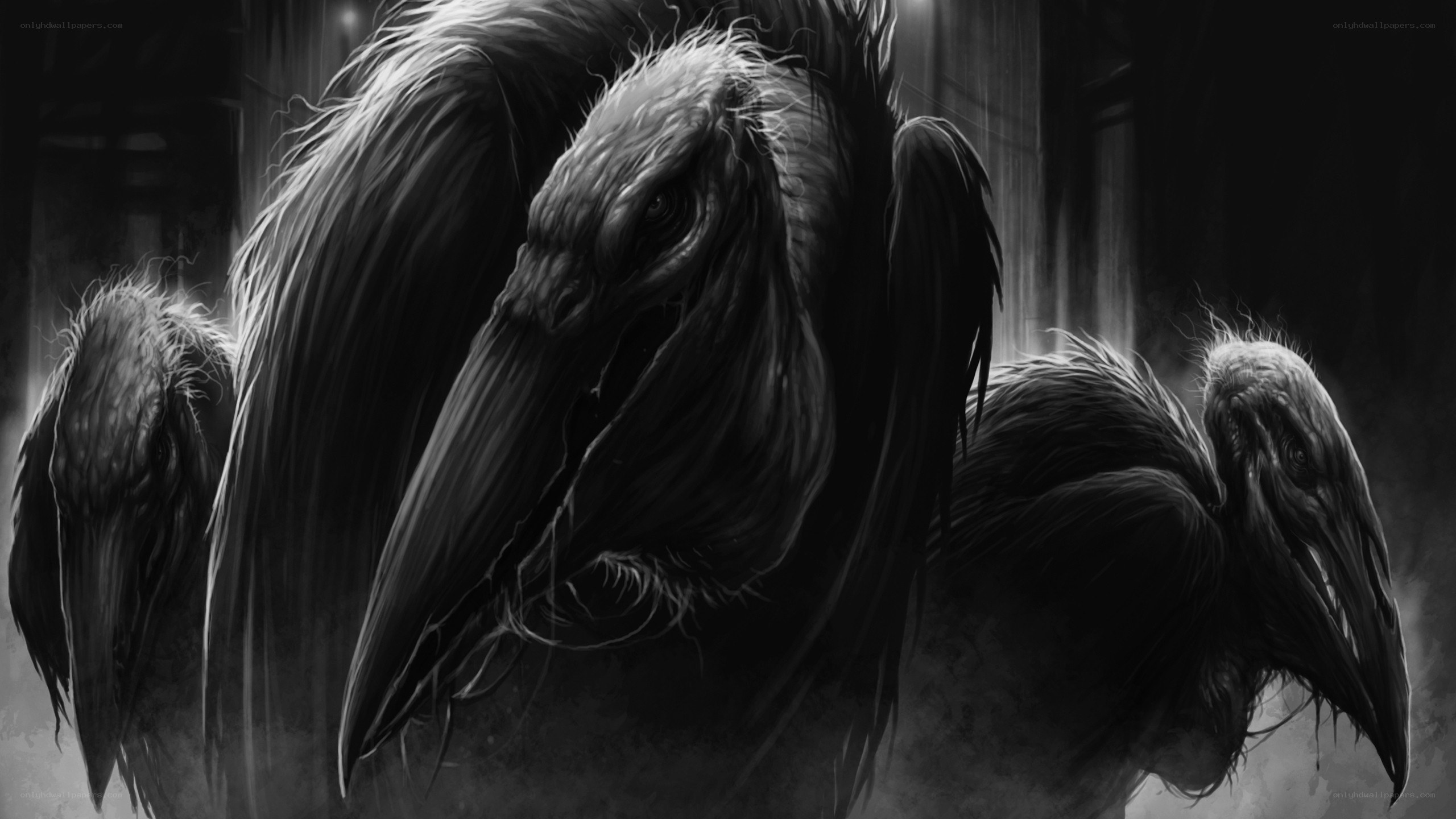 dark birds in a misty forest