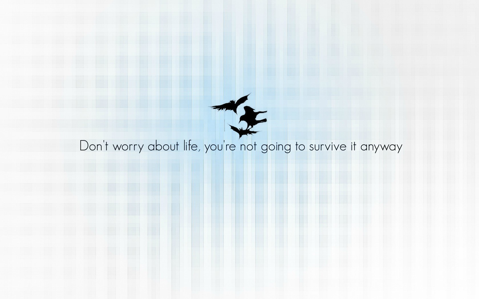 Dark birds with quote