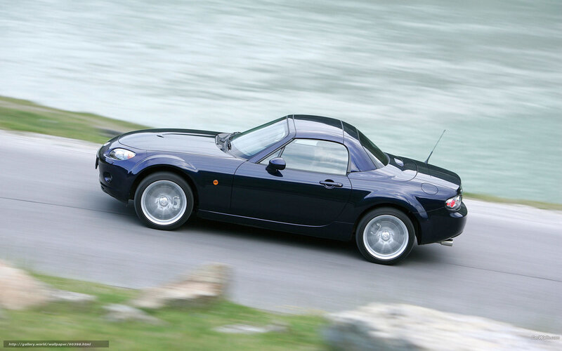 Dark Blue Convertible Car — Dynamic
