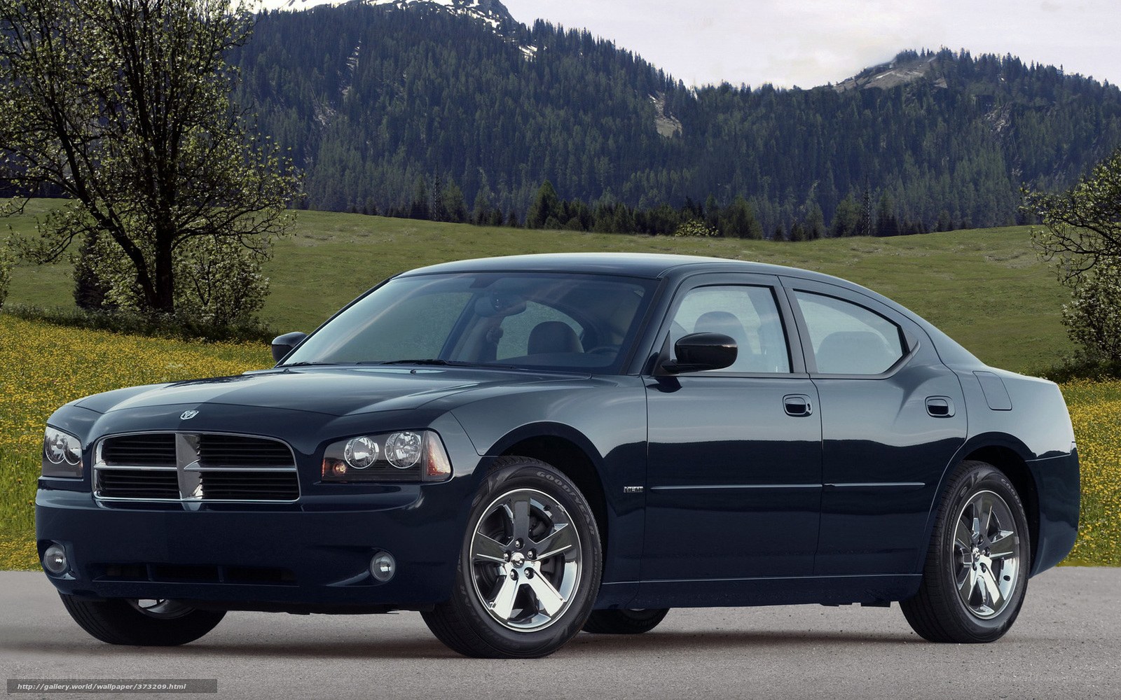 Dark blue Dodge Charger