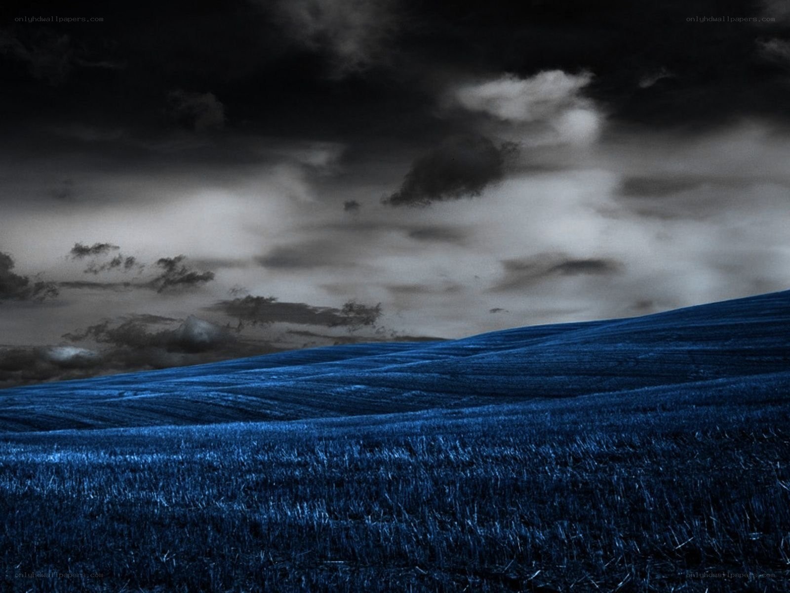 dark blue field under stormy sky