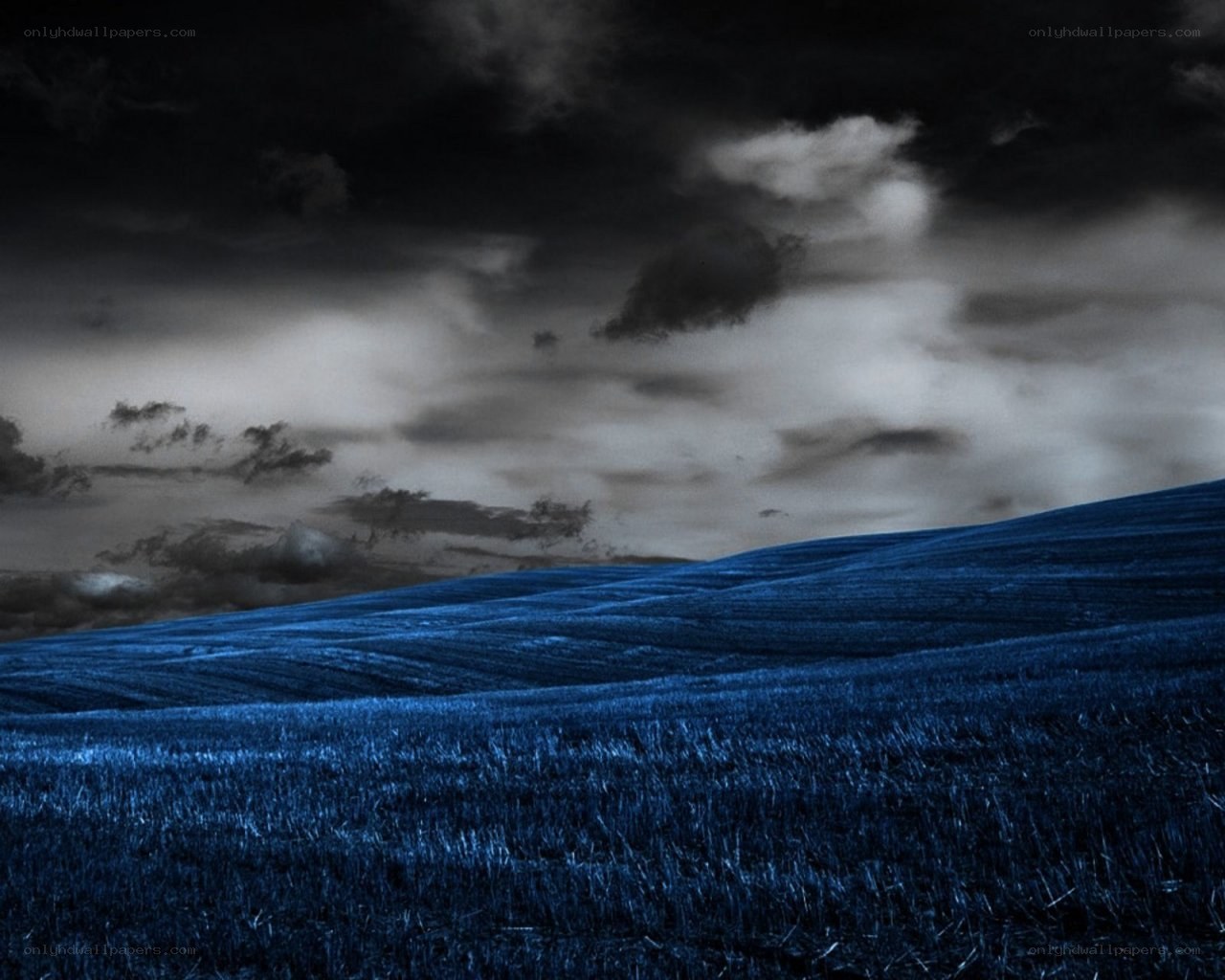Dark blue field under stormy sky