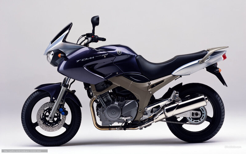 Dark Blue Motorcycle — Purple