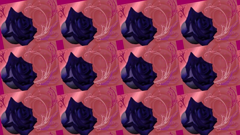 Dark Blue Roses — Purple
