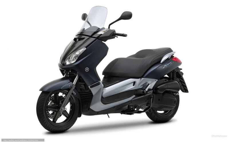 Dark Blue Scooter — Black, Neutral, Photograph
