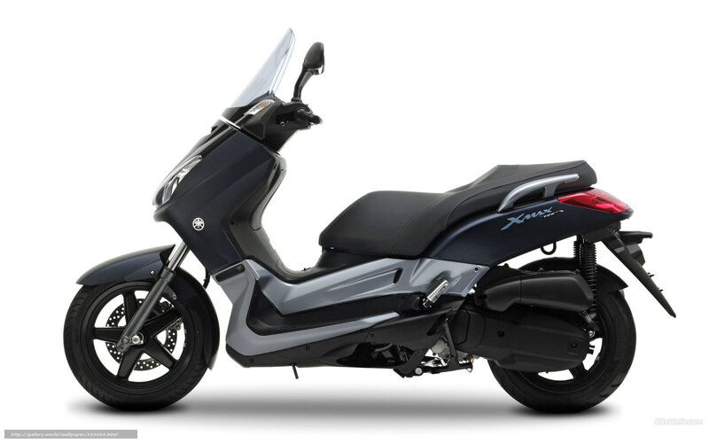 Dark Blue Scooter — Black, Neutral, Photograph, Windshield
